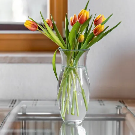 Ferienhaus Tanneberg Pensjonat