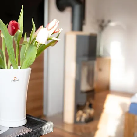 Pensjonat Ferienhaus Tanneberg Tanneberg