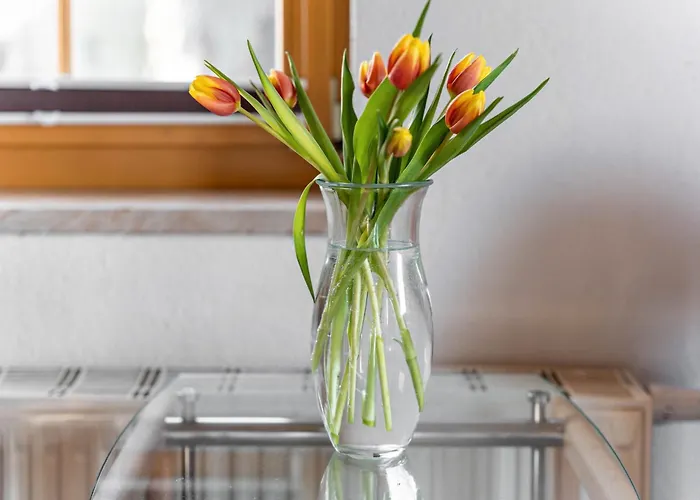 Ferienhaus Tanneberg Гостевой дом